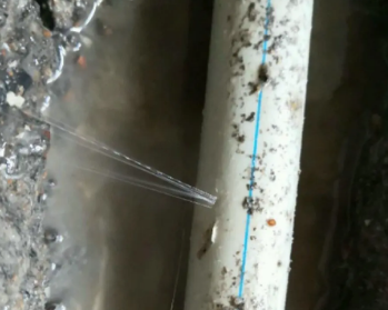 文成卫生间测漏水多少钱