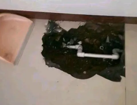 文成卫生间测漏水多少钱